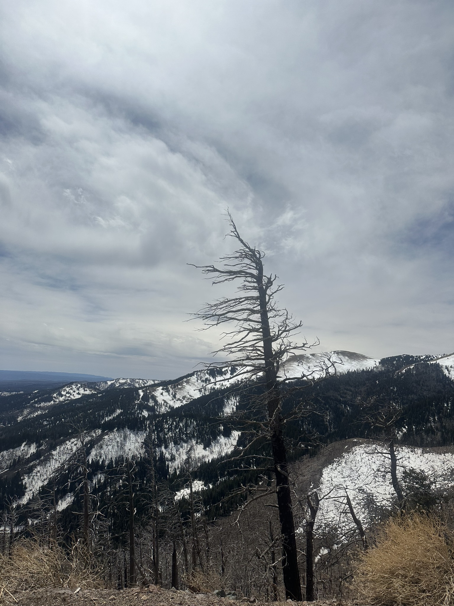 United States-National Parks-Other - Image 3064